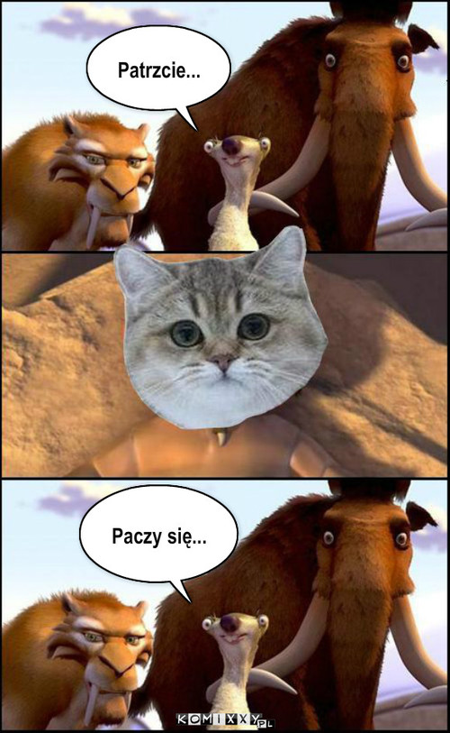 Paczy się. – Patrzcie... Paczy się... 