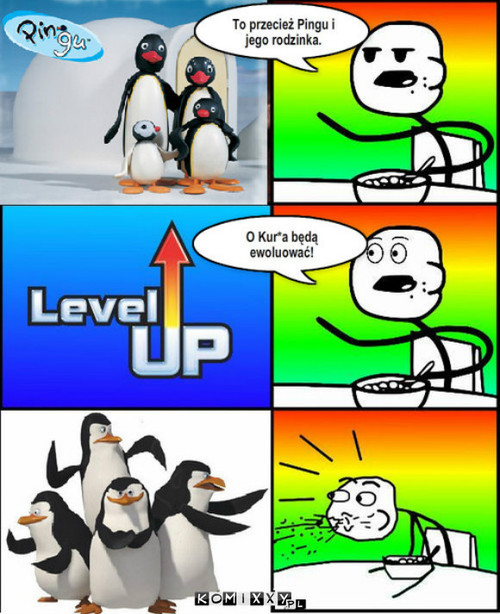 Pingu –  