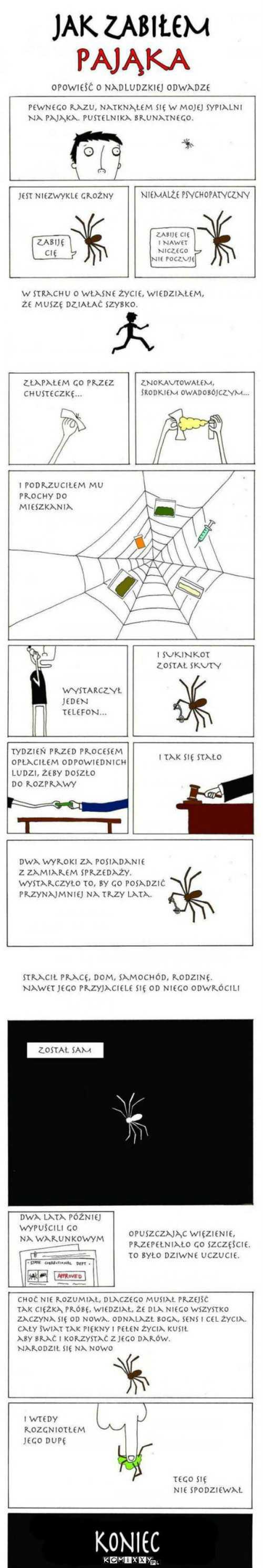 Jak zabiłem pająka –  