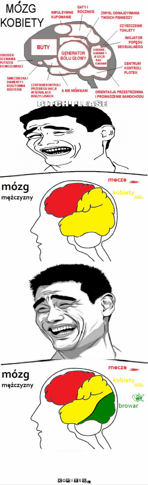 Mózgi –  