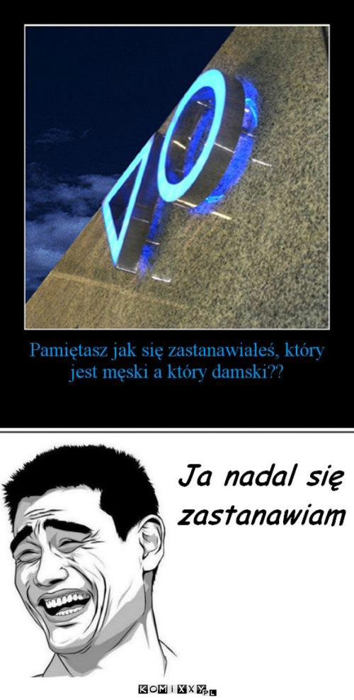 Płeć –  