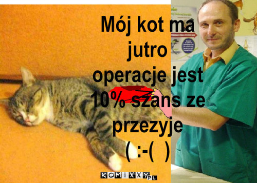 OPERACJA – Mój kot ma jutro operacje jest 10% szans ze przezyje         ( :-(  ) 