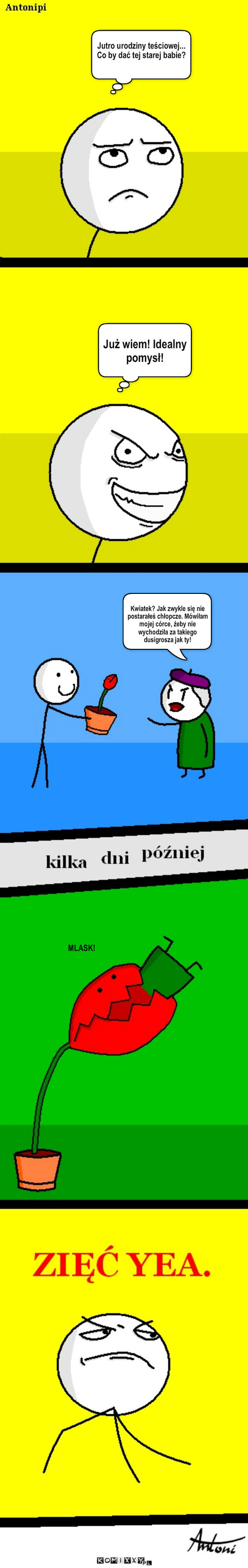 Trochę łykowate... ale może być! – MLASK! Jutro urodziny teściowej... Co by dać tej starej babie? Już wiem! Idealny pomysł! Kwiatek? Jak zwykle się nie postarałeś chłopcze. Mówiłam mojej córce, żeby nie wychodziła za takiego dusigrosza jak ty! 