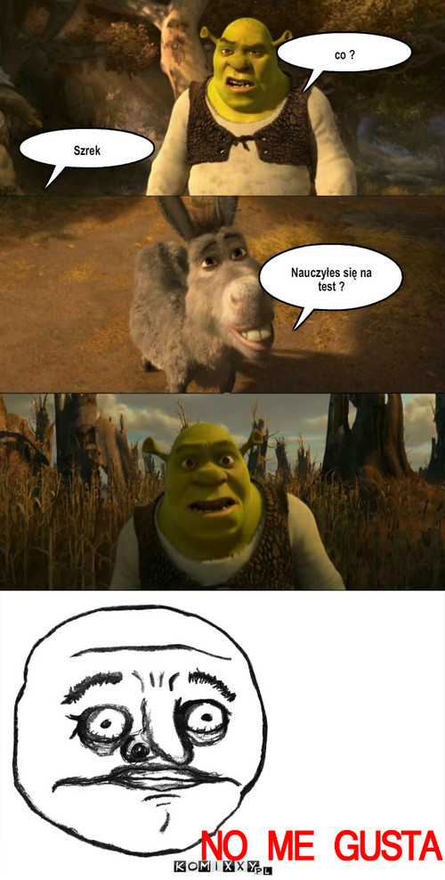 Shrek – Szrek co ? Nauczyłes się na test ? 