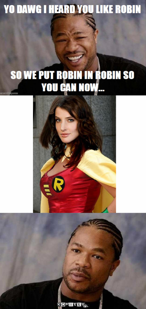 Yo dawg robin –  