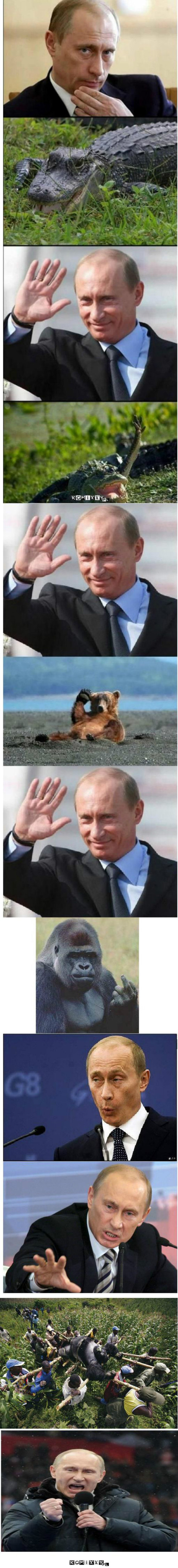 Putin –  