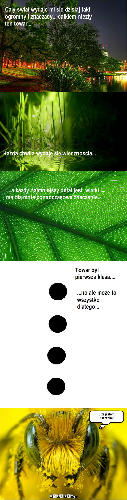 Na fazie – Kazda chwila wydaje sie wiecznoscia... ...ze jestem 
pszczola? ....a kazdy najmniejszy detal jest  wielki i ma dla mnie ponadczasowe znaczenie... Caly swiat wydaje mi sie dzisiaj taki ogromny i znaczacy... calkiem niezly ten towar... Towar byl pierwsza klasa.... ...no ale moze to wszystko dlatego... 