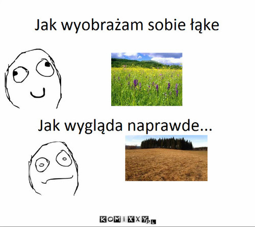 Łąka –  