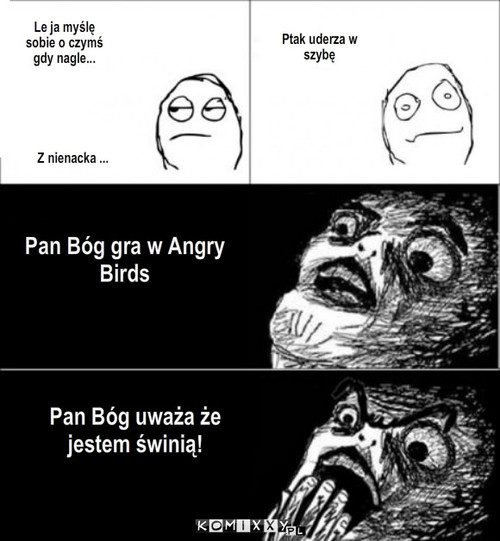 Wściekłe Ptaki – Le ja myślę sobie o czymś gdy nagle... Z nienacka ... Ptak uderza w szybę Pan Bóg gra w Angry Birds Pan Bóg uważa że jestem świnią! 