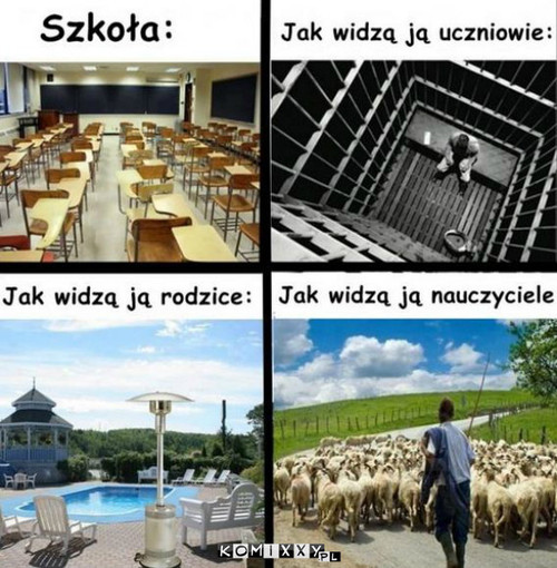 Szkoła –  