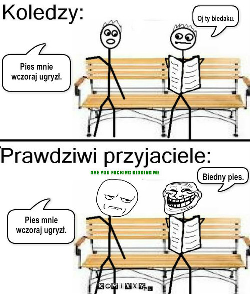 Przyjaciel vs kolega – Pies mnie wczoraj ugryzł. Oj ty biedaku. Pies mnie wczoraj ugryzł. Biedny pies. 