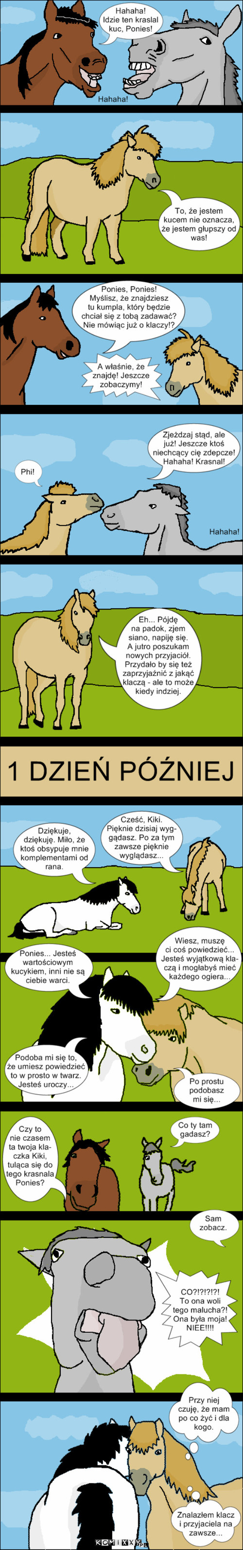 Ponies i przyjaźń. –  