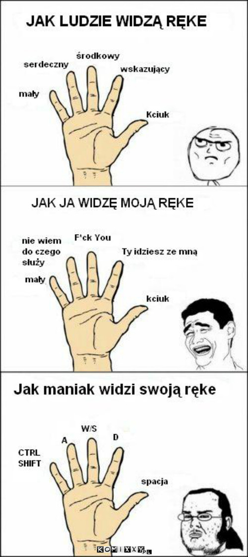 Palce dłoni –  