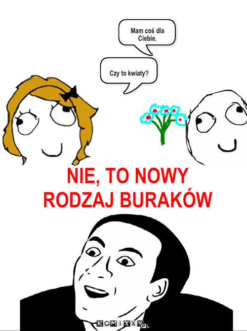 You Don't Say – Mam coś dla Ciebie. Czy to kwiaty? NIE, TO NOWY RODZAJ BURAKÓW 