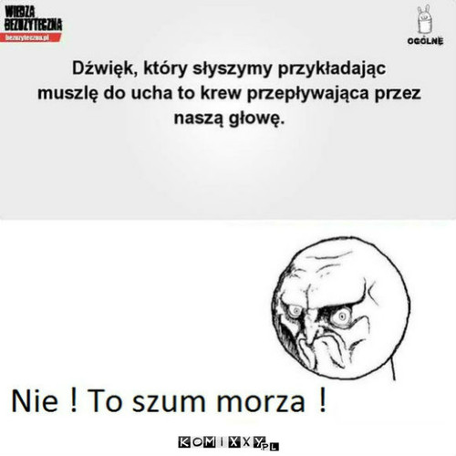 Morze –  