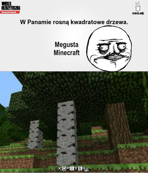 Minecraft – Megusta Minecraft 