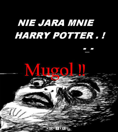 Harry Potter –  