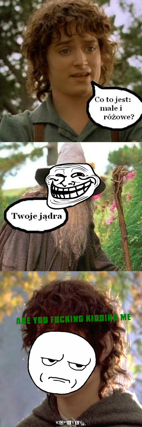 Frodo –  