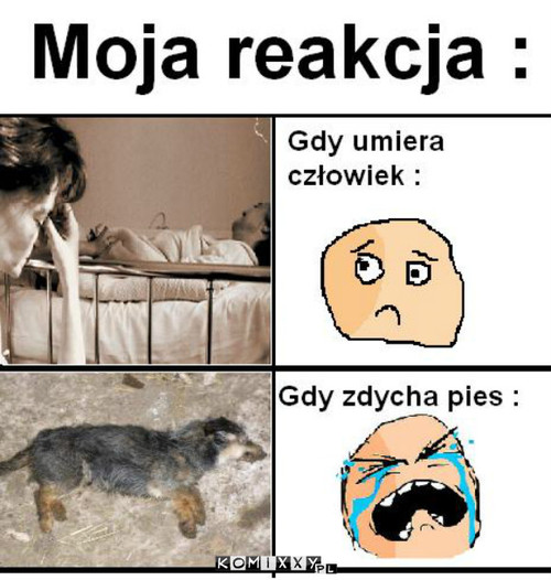 Moja reakcja. –  