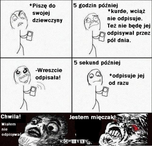 Mięczak  –  