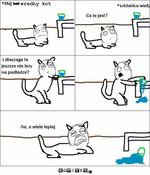 Logika kota – - wredny kot 