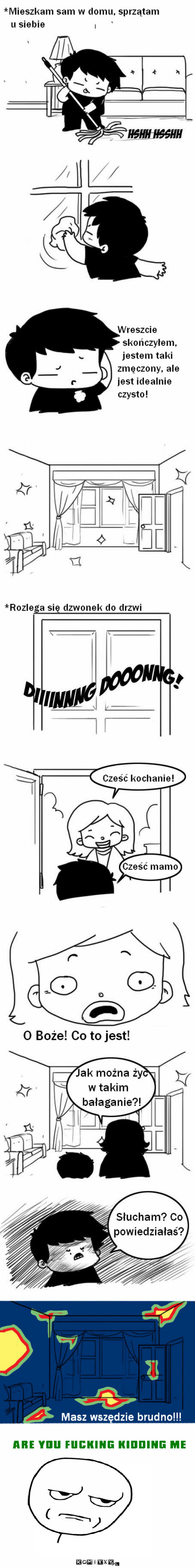 Posprzątane –  