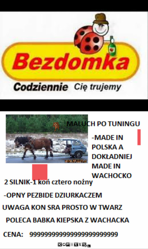 BIEDRONKA –  