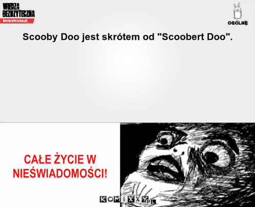 Scooby Doo – CAŁE ŻYCIE W NIEŚWIADOMOŚCI! 