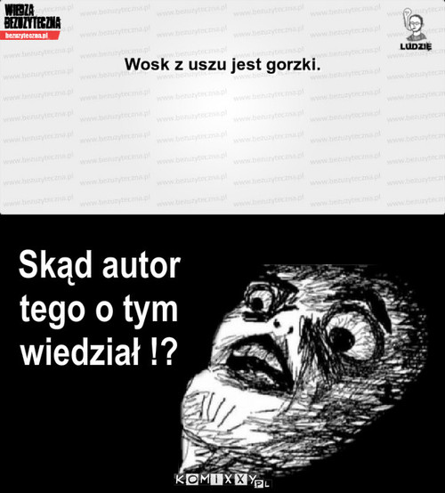 Wosk z uszu – Skąd autor tego o tym wiedział !? 