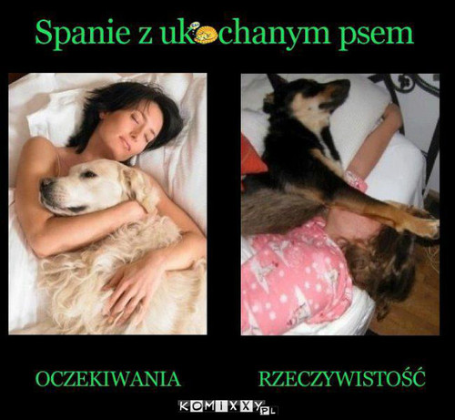 Spanie z psem –  