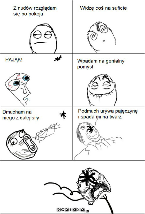 Pająk –  