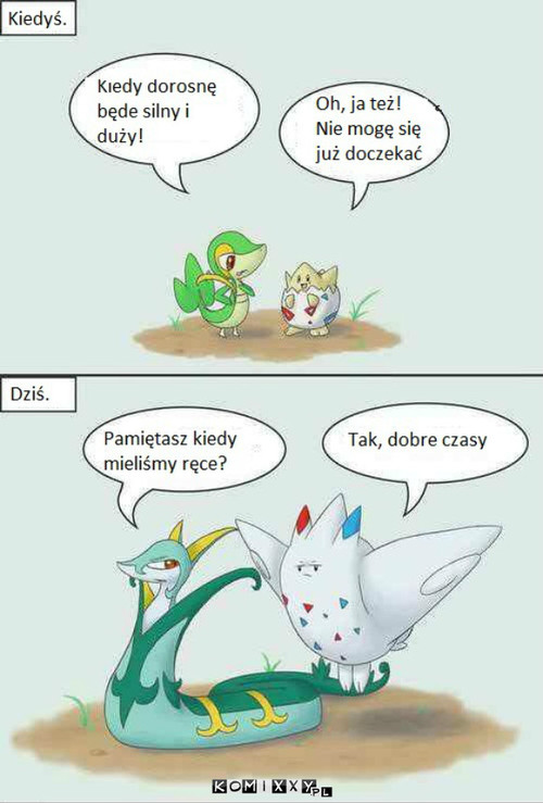 Pokemonowa ewolucja –  