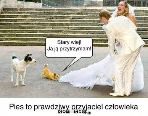 Przyjaciel –  