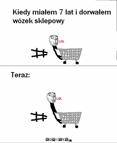 Wózek sklepowy –  