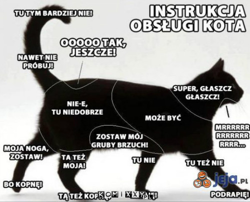 Instrukcja obsługi kota –  