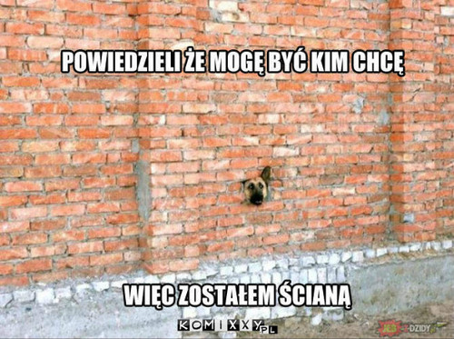 Ściana! –  