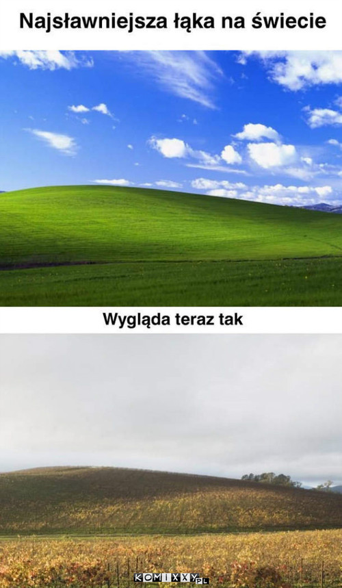 Łąka Windows XP –  