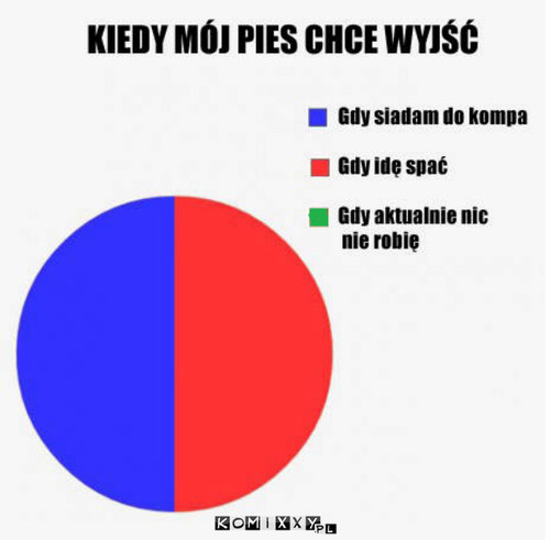 Wyjście z psem –  