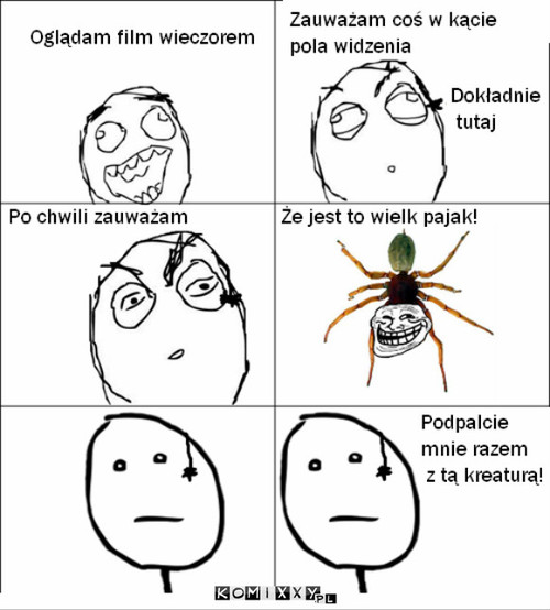 Pająk –  