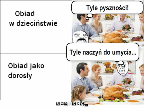 Obiad – Tyle pyszności! Tyle naczyń do umycia... 