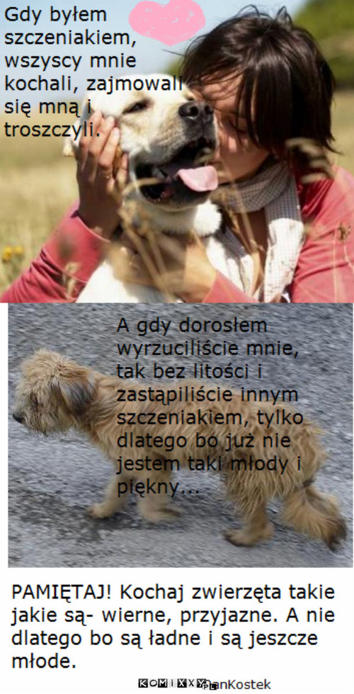 Kochajmy każdego –  