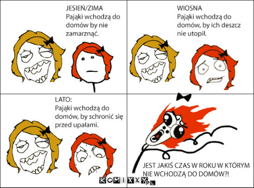 Pająki –  