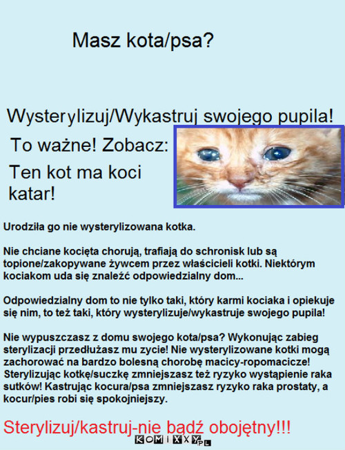 Sterylizuj/kastruj-nie bądź obojętny! –  