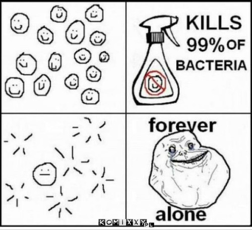 Bakterie –  