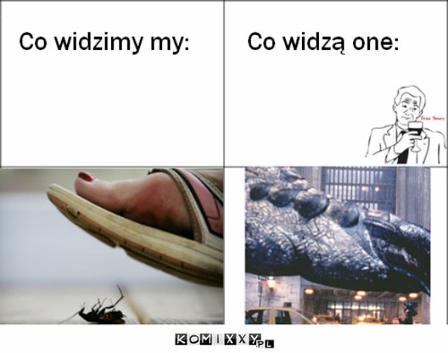 Robaki i człowiek –  