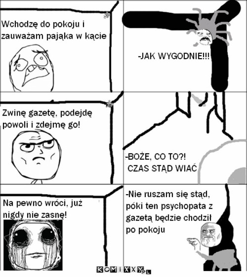 Od strony pająka –  