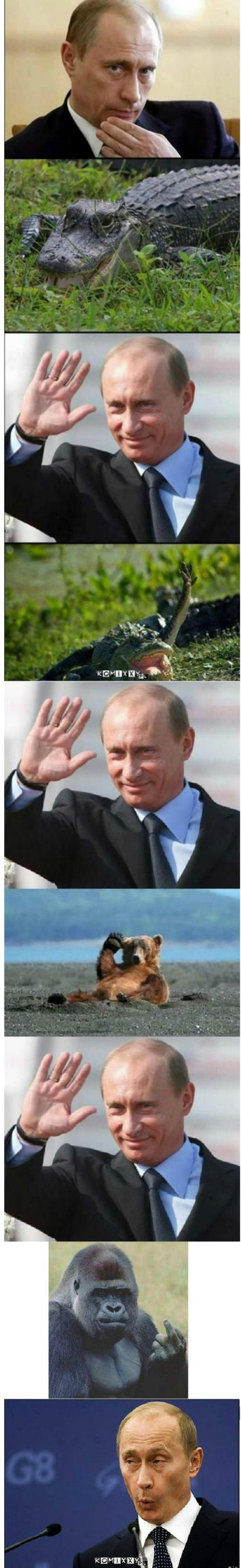 Putin –  