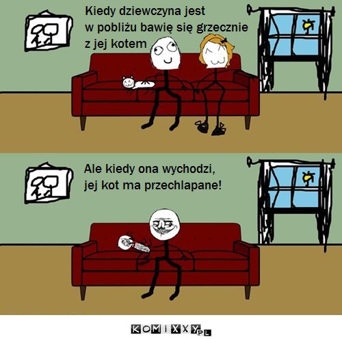 Kot dziewczyny –  