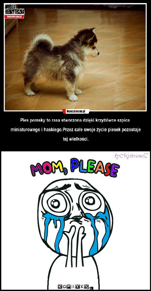 Mom please ! –  