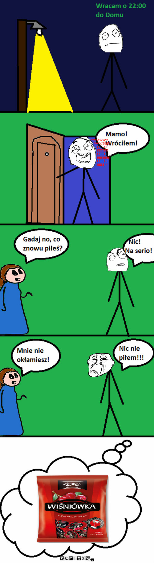 Nic nie piłem! –  